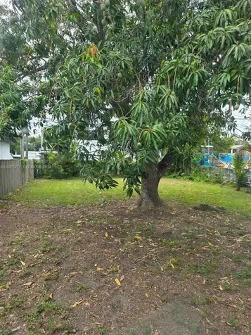 315 NW 53rd Street Miami FL 33127