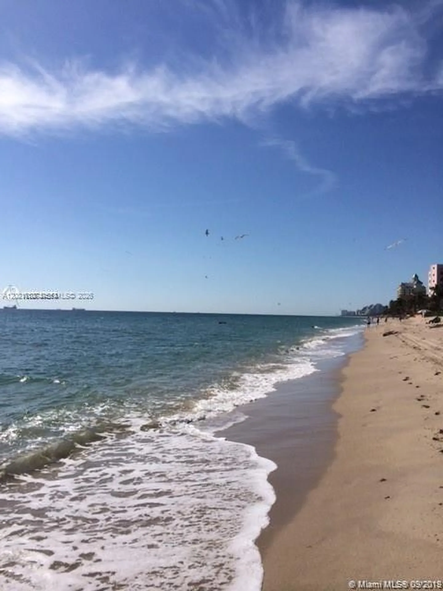 3031 N Ocean Boulevard Fort Lauderdale FL 33308
