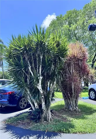 1800 N Andrews Avenue Fort Lauderdale FL 33311