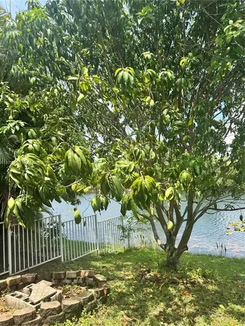 131 SW 178th Way Pembroke Pines FL 33029
