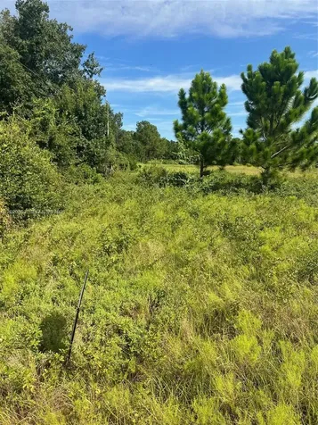 Huntington Shortcut Road Cresent City FL 32112