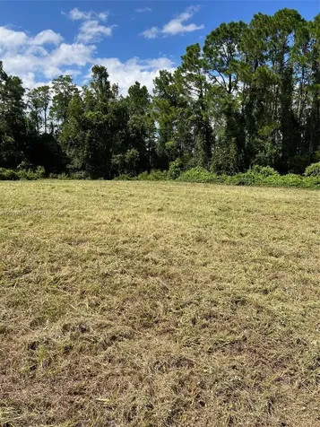 Huntington Shortcut Road Cresent City FL 32112