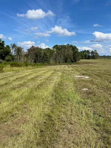 Huntington Shortcut Road Cresent City FL 32112