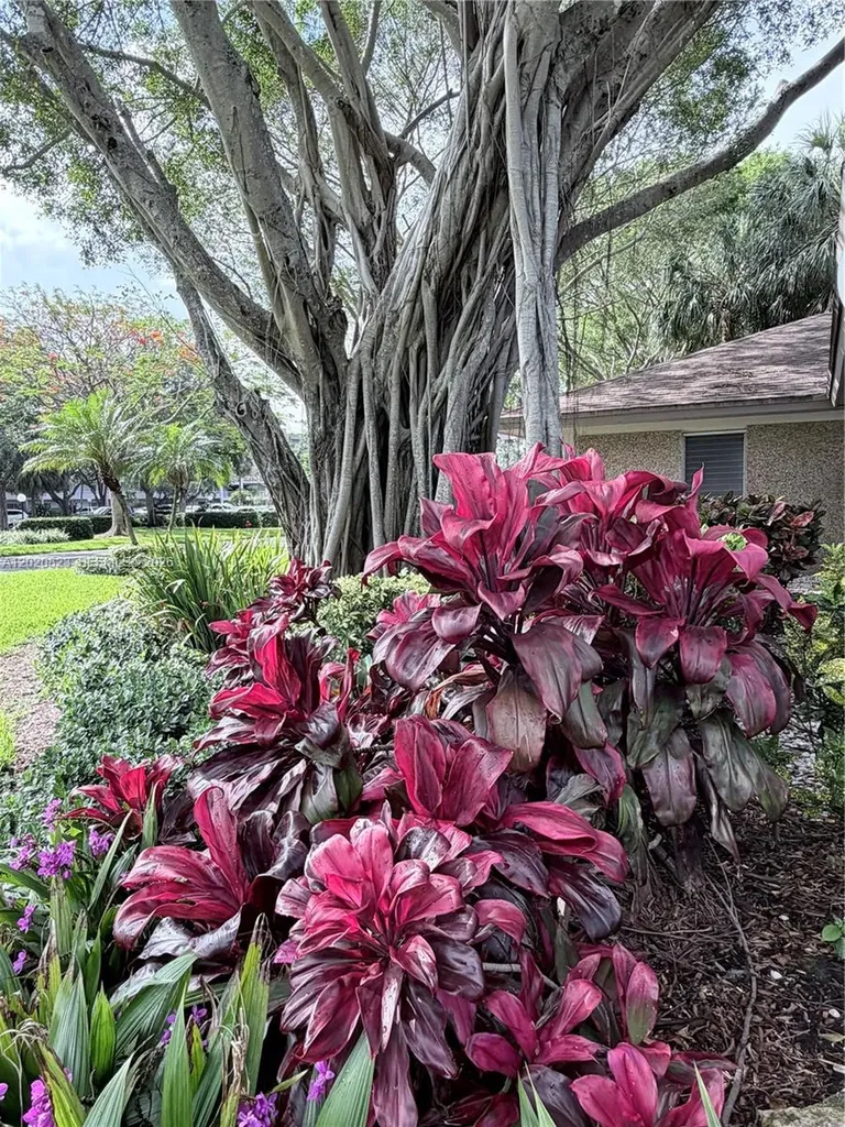 605 Oaks Drive Pompano Beach FL 33069