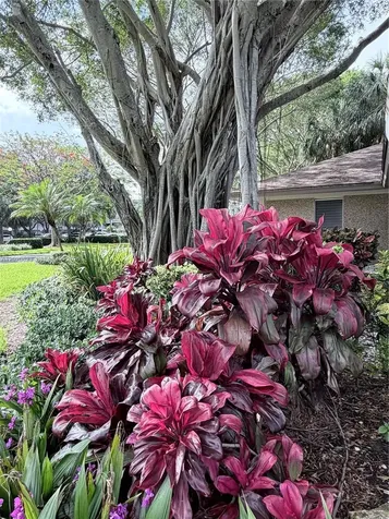 605 Oaks Drive Pompano Beach FL 33069