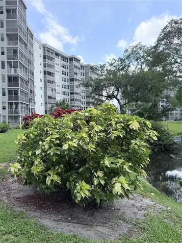 605 Oaks Drive Pompano Beach FL 33069