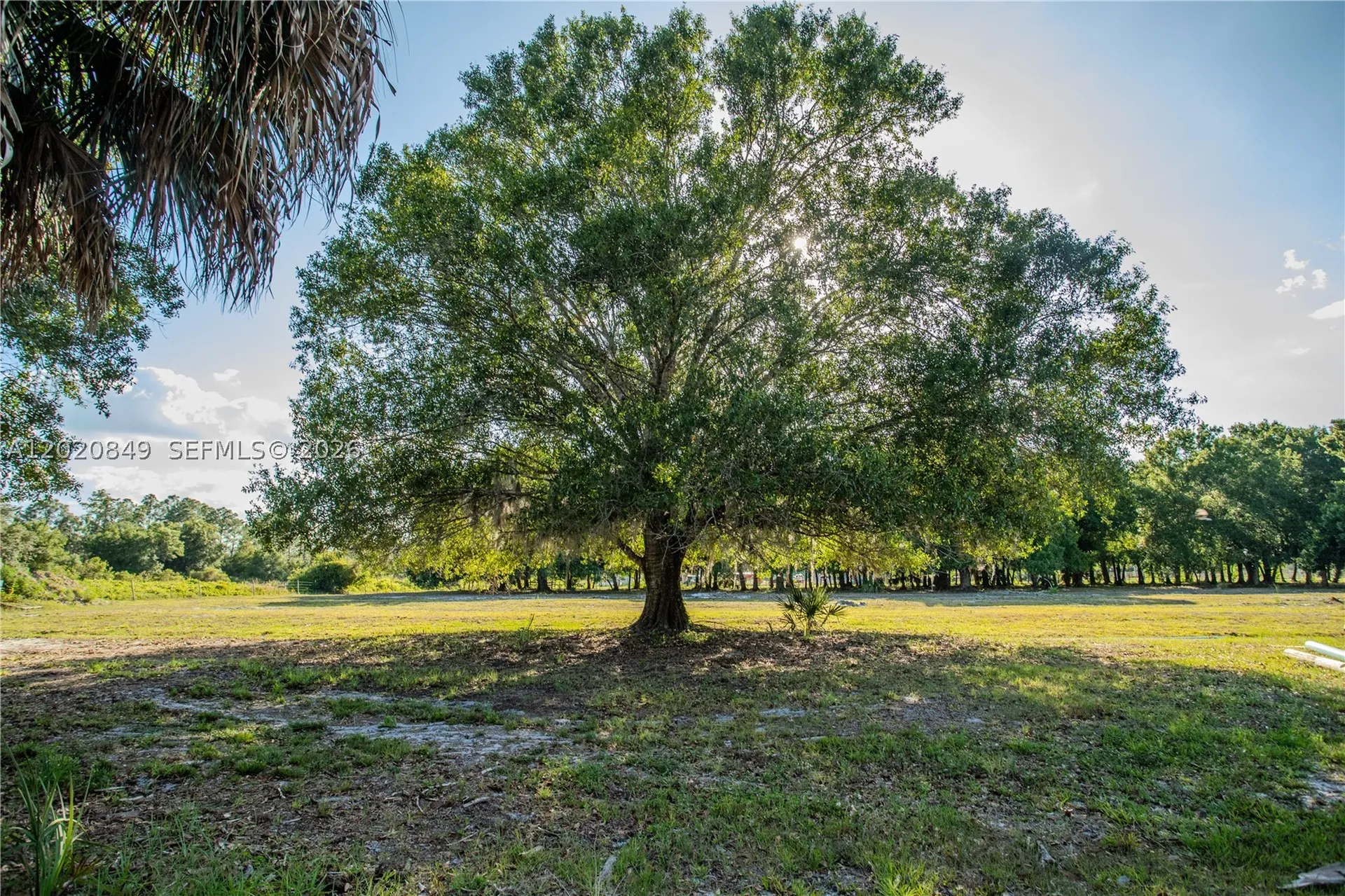 3880 Packinghouse Road Other City - In The State Of Florida FL 33920