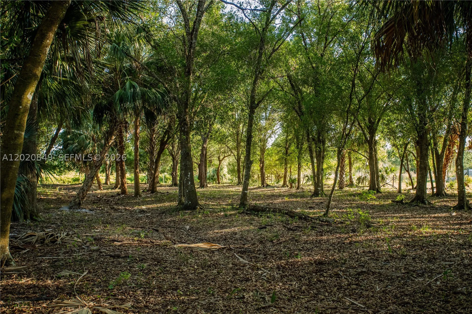 3880 Packinghouse Road Other City - In The State Of Florida FL 33920