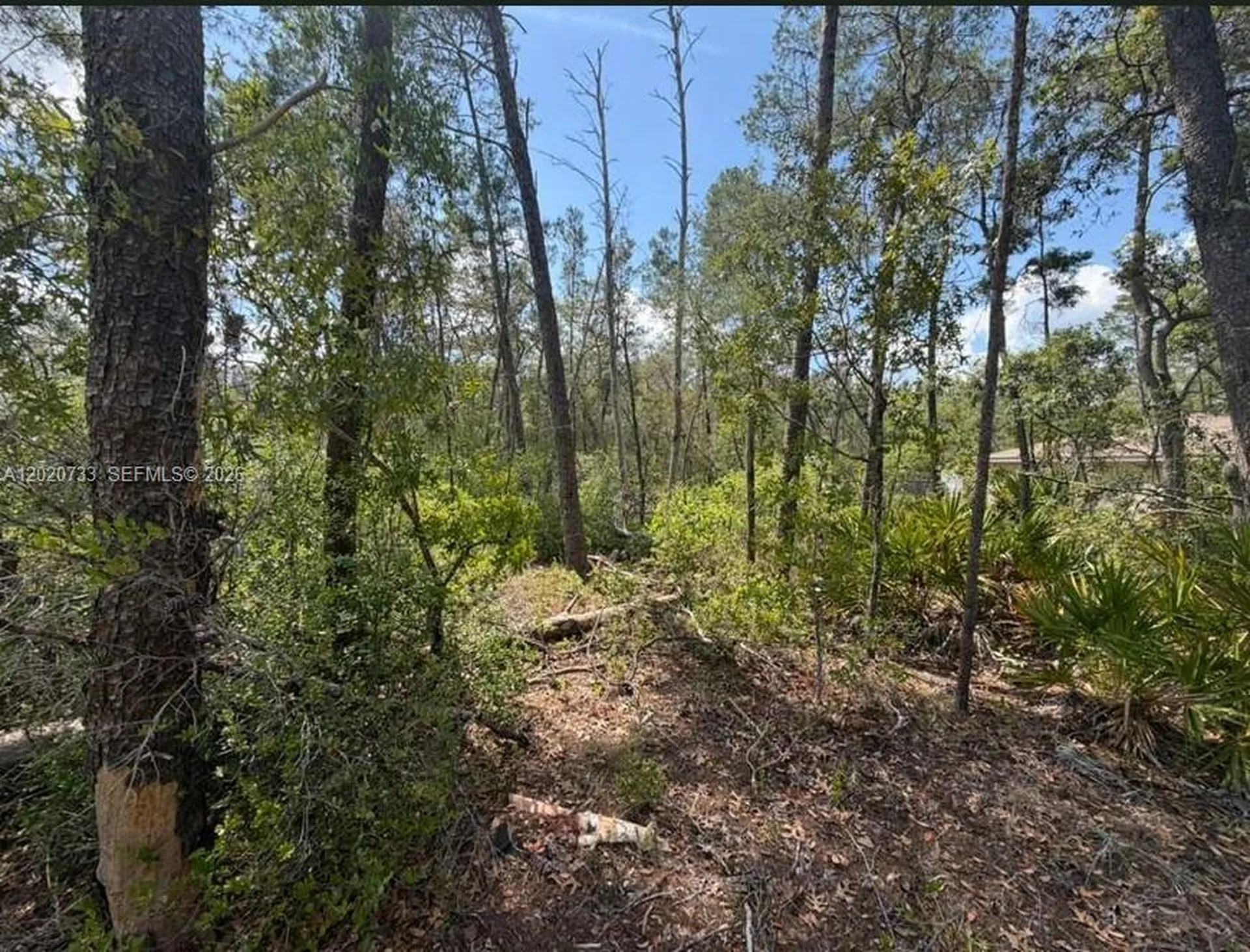70 Malauka Pass Course Other City - In The State Of Florida FL 32179