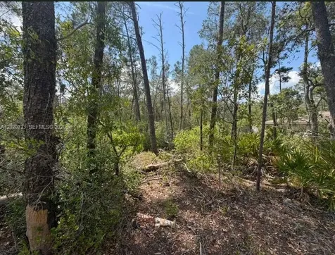 70 Malauka Pass Course Other City - In The State Of Florida FL 32179