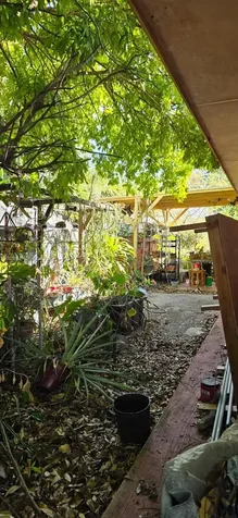 15271 SW 303rd Street Homestead FL 33033
