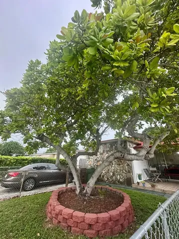 659 W 14th Street Hialeah FL 33010