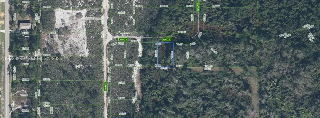 817 Neal Sebring FL 33875
