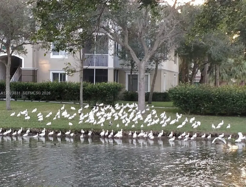 11715 W Atlantic Boulevard Coral Springs FL 33071