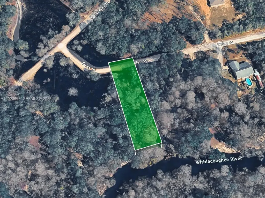 0 Coley Street Other City - In The State Of Florida FL 33697