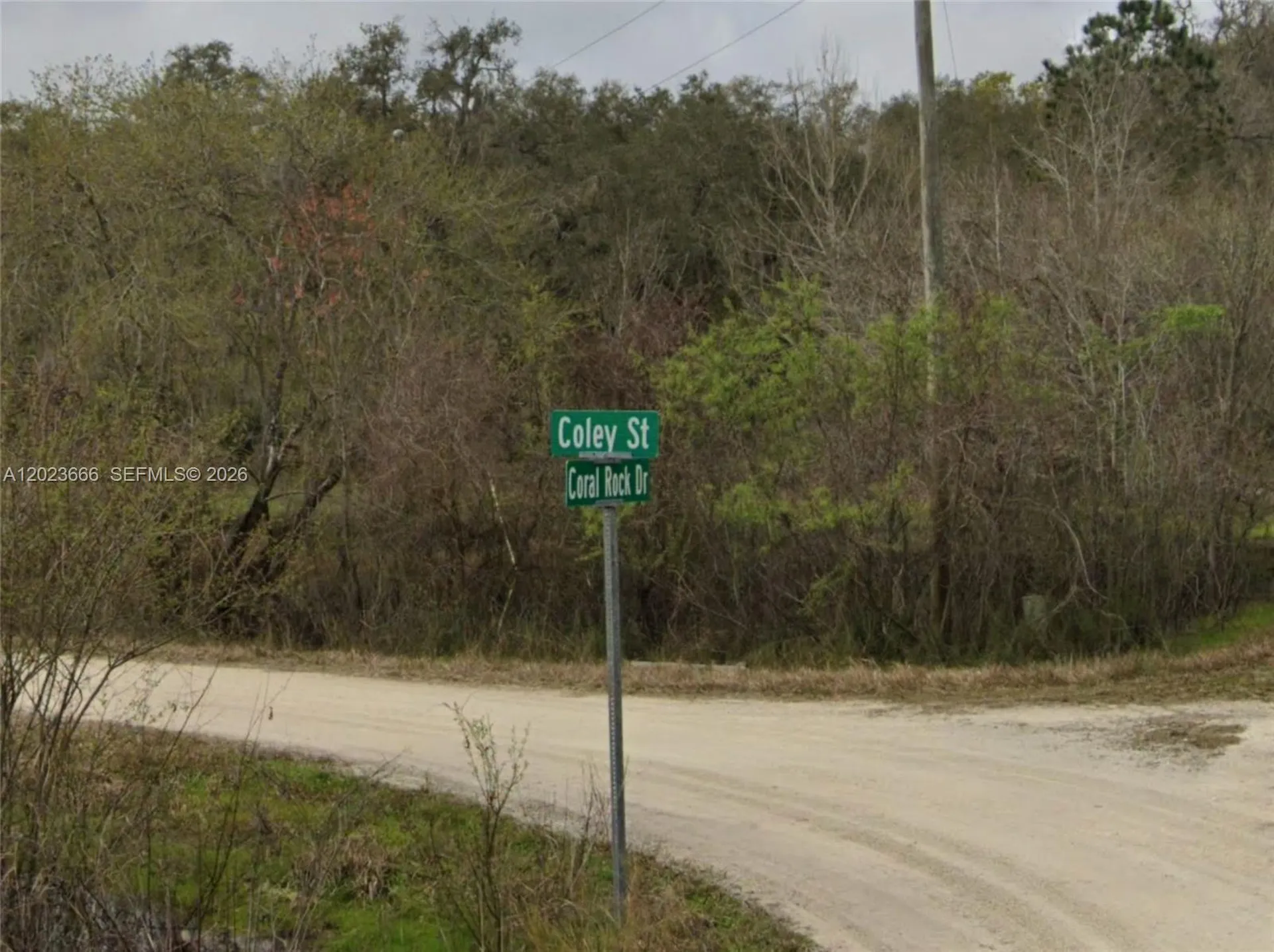 0 Coley Street Other City - In The State Of Florida FL 33697