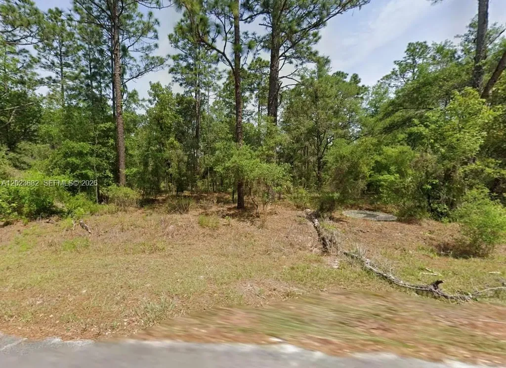 Lot 47 Shamrock Avenue Other City - In The State Of Florida FL 34431