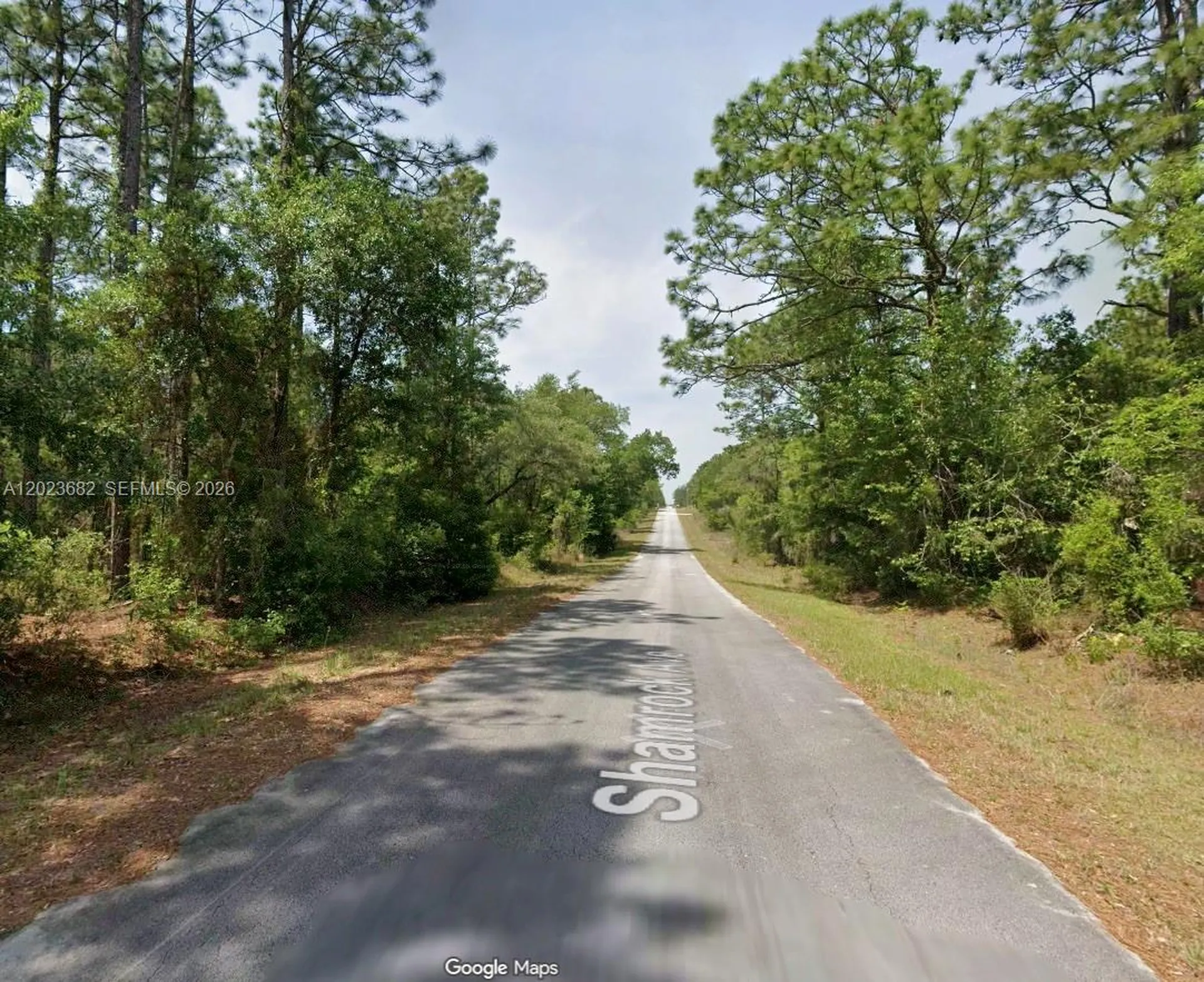 Lot 47 Shamrock Avenue Other City - In The State Of Florida FL 34431