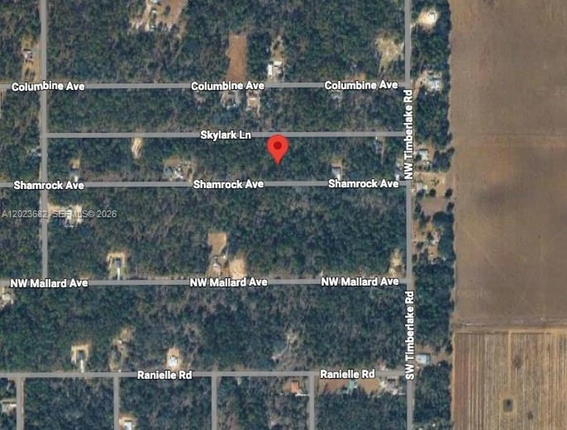 Lot 47 Shamrock Avenue Other City - In The State Of Florida FL 34431