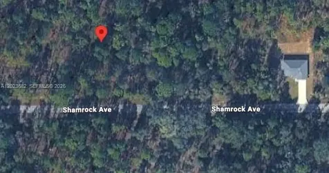 Lot 47 Shamrock Avenue Other City - In The State Of Florida FL 34431