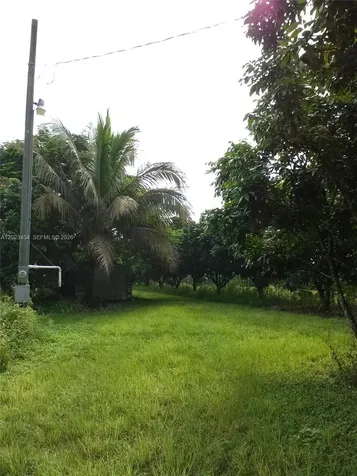 19675 SW 165 Avenue Miami FL 33187