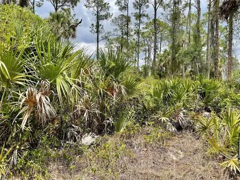Port Charlotte FL 3345
