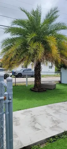 301 SW 36th Avenue Miami FL 33135