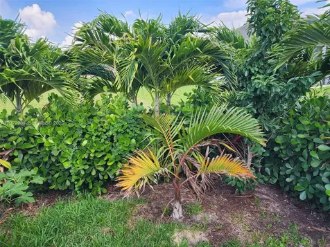225 SW 31st Place Cape Coral FL 33991