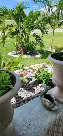 225 SW 31st Place Cape Coral FL 33991