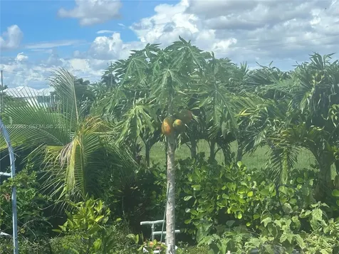 225 SW 31st Place Cape Coral FL 33991