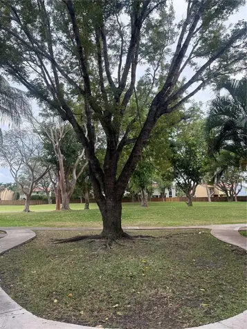 15689 SW 106th Lane Miami FL 33196