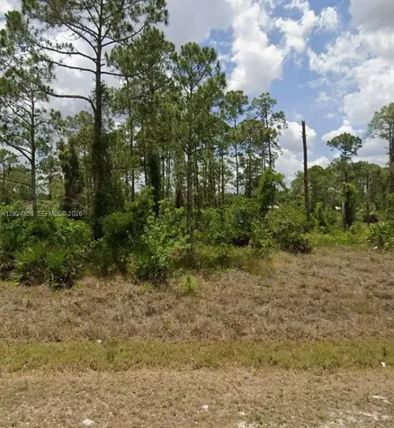 2315 Mcarthur Lehigh Acres FL 33920