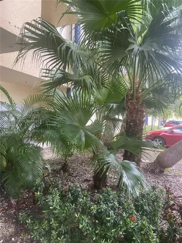 4550 NW 9th Street Miami FL 33126