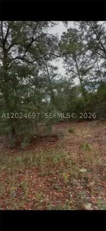 1699 SW 153 Court Ocala FL 34481