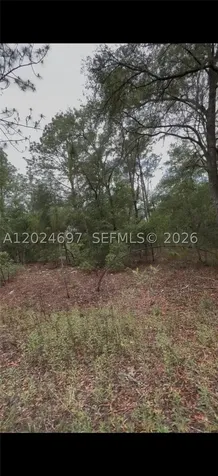 1699 SW 153 Court Ocala FL 34481
