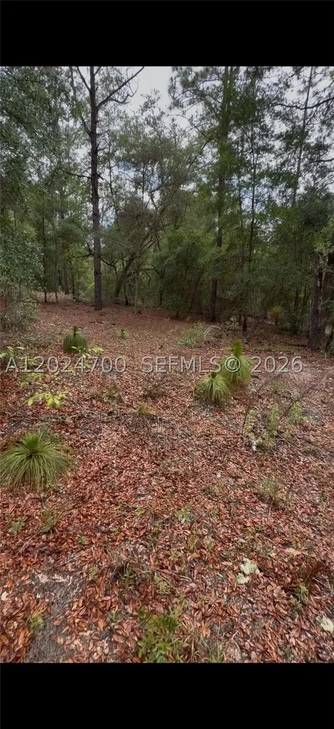 1373 SW 153rd Avenue Ocala FL 34481
