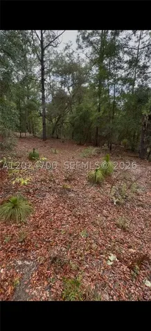 1373 SW 153rd Avenue Ocala FL 34481