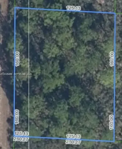 1139 Brook Hollow Road Lake Placid FL 33852