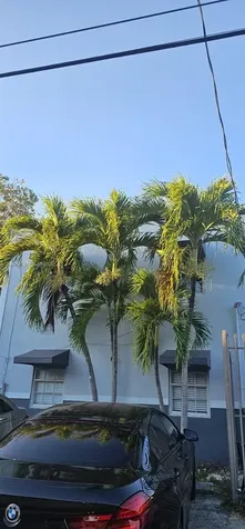 3615 Thomas Avenue Miami FL 33133