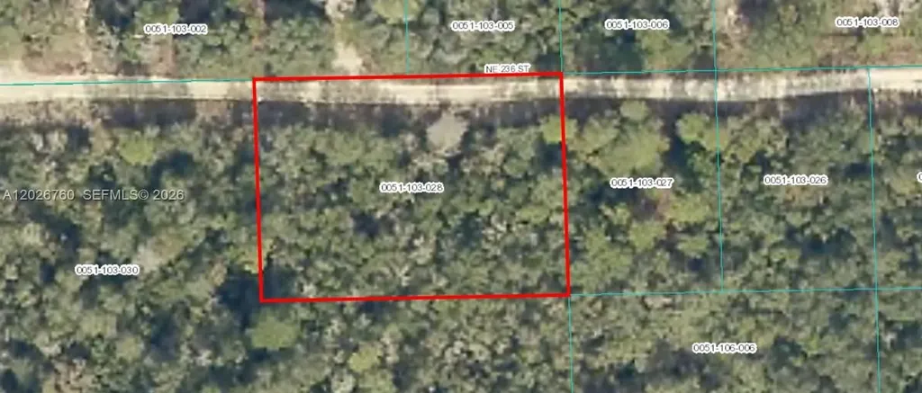 Tbd NE 236 Other City - In The State Of Florida FL 32134