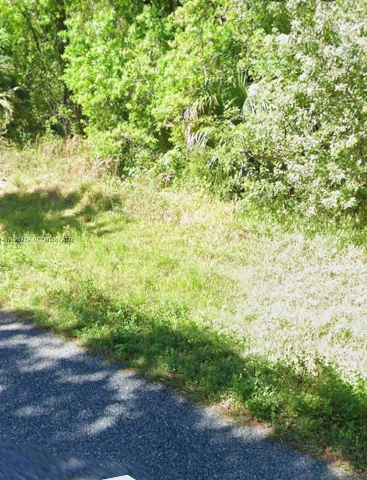 81 Magnolia Ct Okeechobee Other City - In The State Of Florida FL 34972