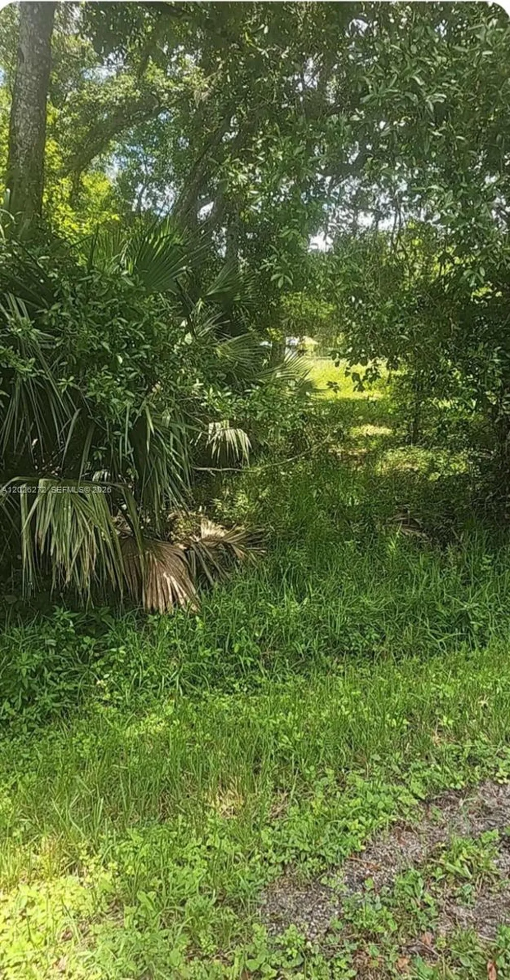 81 Magnolia Ct Okeechobee Other City - In The State Of Florida FL 34972