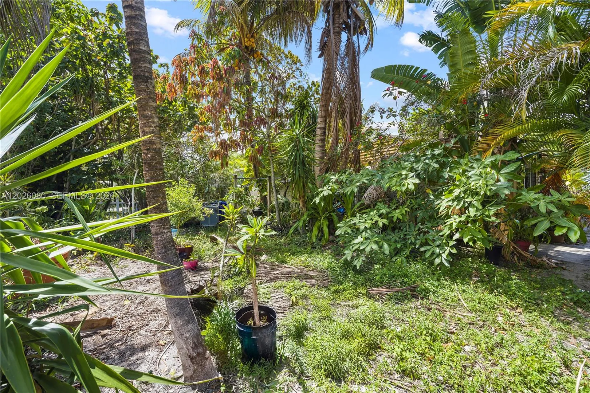 1975 SW 41st Avenue Fort Lauderdale FL 33317