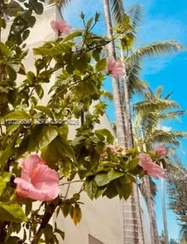 928 Euclid Avenue Miami Beach FL 33139
