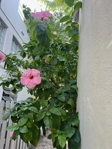 928 Euclid Avenue Miami Beach FL 33139