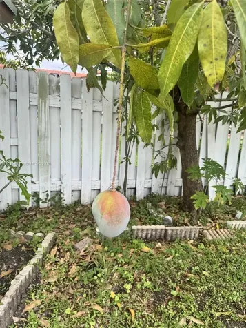 15084 SW 62nd Street Miami FL 33193