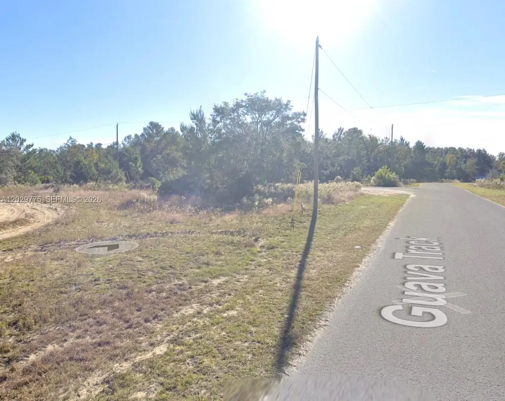 N/a Fisher Run Trace Other City - In The State Of Florida FL 32179
