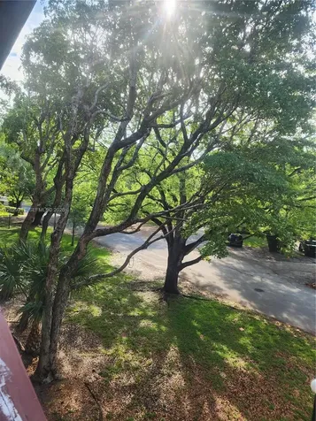 1205 Mariposa Avenue Coral Gables FL 33146