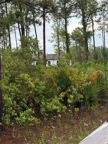 3204 32 Street W Lehigh Acres FL 33971