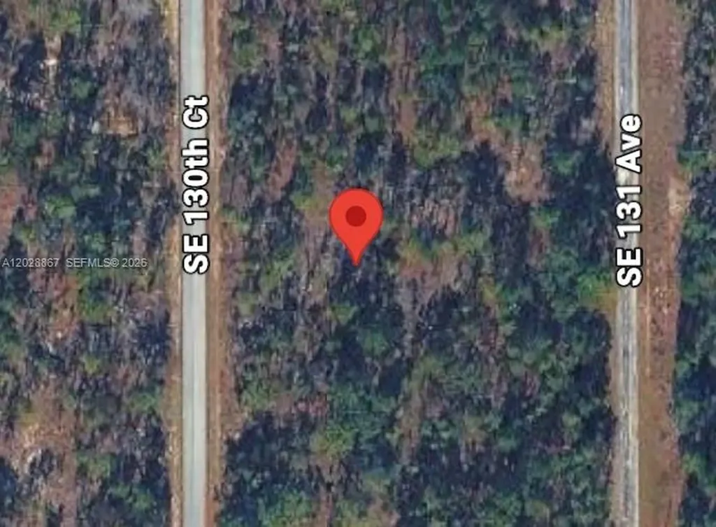 Lot 49 SE 130th Court Other City - In The State Of Florida FL 34431
